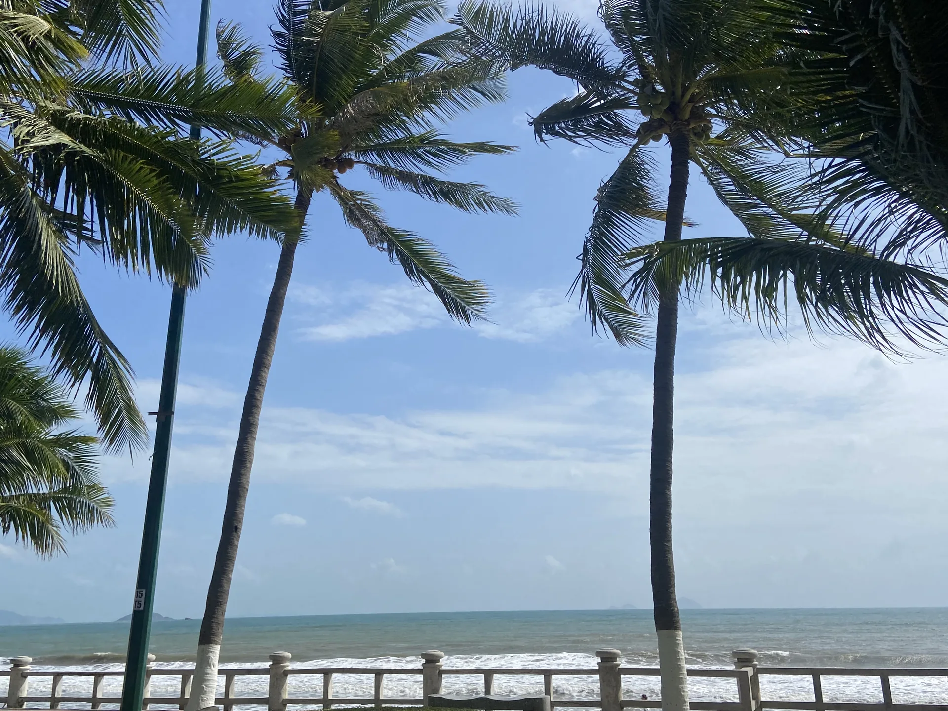 Palm trees, a promenade railing and breaking waves along Nha Trang’s city shore