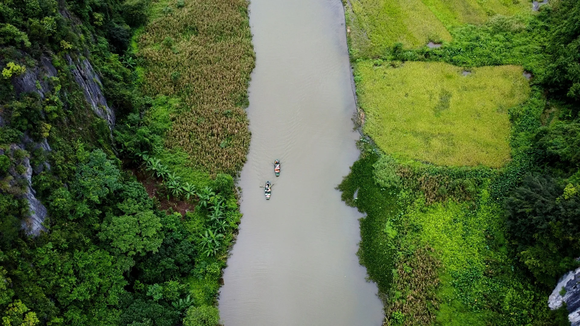 Boats on a river between green slopes in Ninh Binh, viewed from above