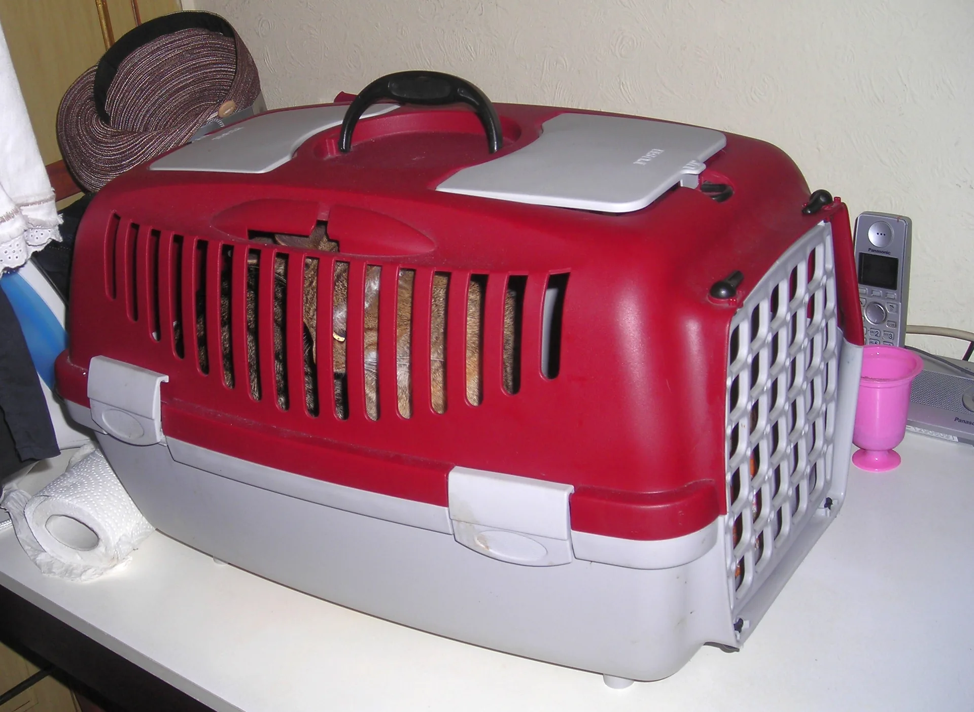 A cat inside a red and light-grey rigid carrier with a grille door